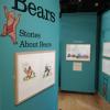 The Beacon Museum's Bears exhibition